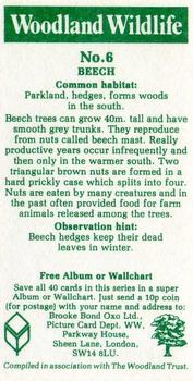 1980 Brooke Bond Woodland Wildlife #6 Beech Back