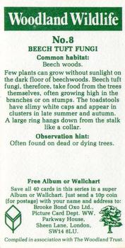 1980 Brooke Bond Woodland Wildlife #8 Beech Tuft Fungi Back