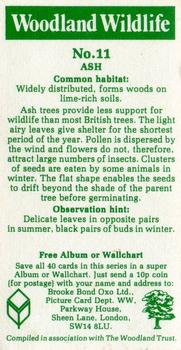 1980 Brooke Bond Woodland Wildlife #11 Ash Back