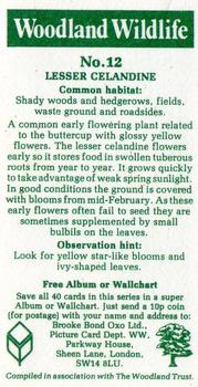 1980 Brooke Bond Woodland Wildlife #12 Lesser Celandine Back