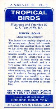 1961 Brooke Bond Tropical Birds #5 African Jacana Back