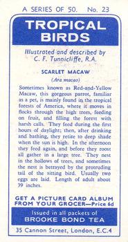 1961 Brooke Bond Tropical Birds #23 Scarlet Macaw Back