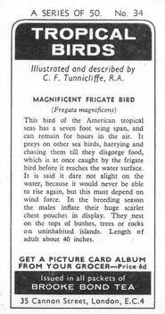 1974 Brooke Bond Tropical Birds #34 Magnificent Frigatebird Back