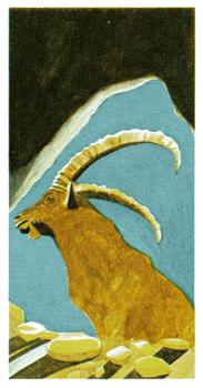 1978 Brooke Bond Vanishing Wildlife #3 Pyrenean Ibex Front