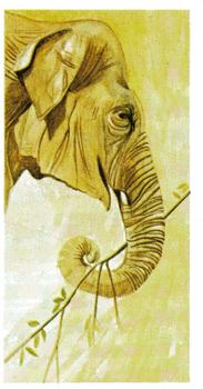 1978 Brooke Bond Vanishing Wildlife #12 Asian Elephant Front