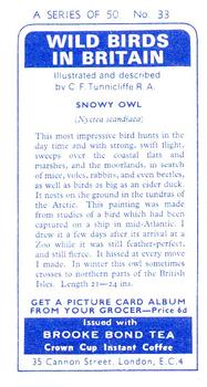 1965 Brooke Bond Wild Birds in Britain #33 Snowy Owl Back