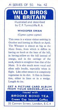 1965 Brooke Bond Wild Birds in Britain #42 Whooper Swan Back