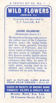 1959 Brooke Bond Wild Flowers Series 2 #1 Lesser Celandine Back