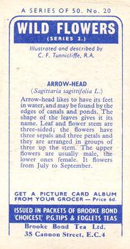1959 Brooke Bond Wild Flowers Series 2 #20 Arrow-Head Back