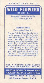 1959 Brooke Bond Wild Flowers Series 2 #25 Burnet Rose Back