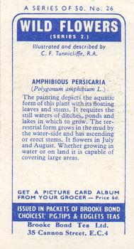 1959 Brooke Bond Wild Flowers Series 2 #26 Amphibious Persicaria Back