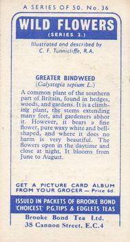 1959 Brooke Bond Wild Flowers Series 2 #36 Greater Bindweed Back