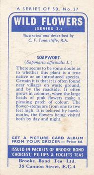1959 Brooke Bond Wild Flowers Series 2 #37 Soapwort Back