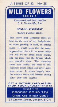 1964 Brooke Bond Wild Flowers Series 3 #28 English Stonecrop Back