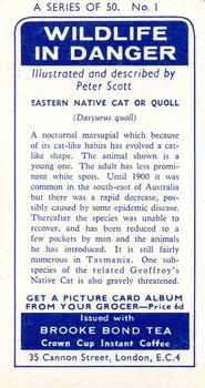 1963 Brooke Bond Wildlife In Danger #1 Eastern Native Cat or Quoll Back