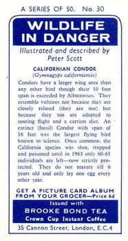 1963 Brooke Bond Wildlife In Danger #30 Californian Condor Back