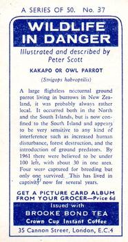 1963 Brooke Bond Wildlife In Danger #37 Kakapo or Owl Parrot Back