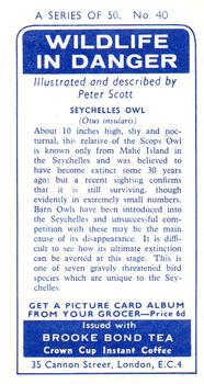1963 Brooke Bond Wildlife In Danger #40 Seychelles Owl Back