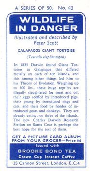 1963 Brooke Bond Wildlife In Danger #43 Galapagos Giant Tortoise Back