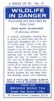 1963 Brooke Bond Wildlife In Danger #47 Texas Blind Salamander Back