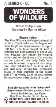 1976 Brooke Bond Wonders of Wildlife #1 Biggest Animal Back
