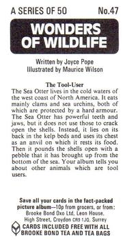 1976 Brooke Bond Wonders of Wildlife #47 The Tool User Back