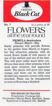 1977 Craven Black Cat Flowers All Year Round #7 PRIMULA denticulata Back