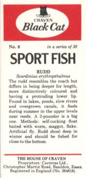 1978 Craven Black Cat Sport Fish #6 Rudd Back