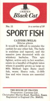 1978 Craven Black Cat Sport Fish #11 Catfish (Wels) Back