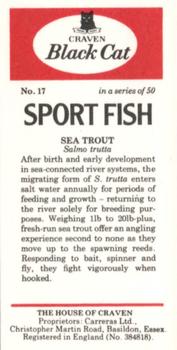 1978 Craven Black Cat Sport Fish #17 Sea Trout Back