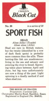 1978 Craven Black Cat Sport Fish #20 Shad Back