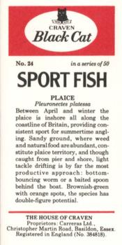 1978 Craven Black Cat Sport Fish #24 Plaice Back