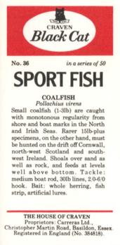 1978 Craven Black Cat Sport Fish #36 Coalfish Back