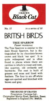 1976 Craven Black Cat British Birds #17 Tree Sparrow Back