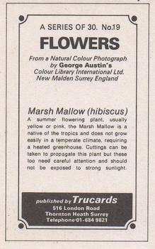 1970 Trucards Flowers #19 Marsh Mallow Back
