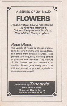 1970 Trucards Flowers #20 Rose Back