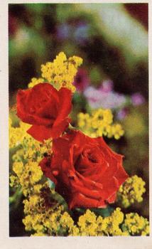 1970 Trucards Flowers #20 Rose Front