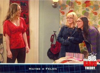 2013 Cryptozoic The Big Bang Theory Season 5 #29 Maybe a Felon Front