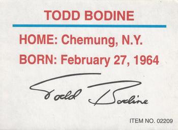 1994 Racing Champions Stock Car #02209 Todd Bodine Back