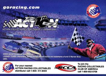 2002 Action #NNO Dale Earnhardt Jr. Back