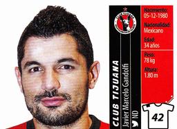 2015 Panini Liga BBVA Bancomer Apertura Stickers #42 Javier Marcelo Gandolfi Front