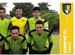 2015 Panini Liga BBVA Bancomer Apertura Stickers #372 Team Photo Front