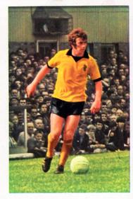 1971-72 FKS Publishers Wonderful World of Soccer Stars Stickers #320 Danny Hegan Front