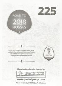 2017 Panini Road To 2018 FIFA World Cup Stickers #225 Matus Kozacik Back