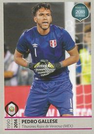 2017 Panini Road To 2018 FIFA World Cup Stickers #385 Pedro Gallese Front