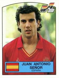 1988 Panini UEFA Euro 88 #142 Juan Antonio Senor Front