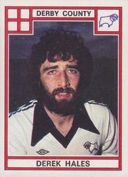 1977-78 Panini Football 78 (UK) #122 Derek Hales Front