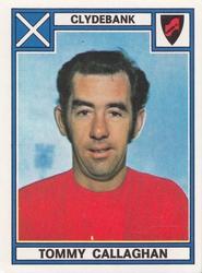 1977-78 Panini Football 78 (UK) #474 Tommy Callaghan Front