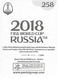 2018 Panini FIFA World Cup: Russia 2018 Stickers (Black/Gray Backs, Made in Italy) #258 Andreas Bjelland Back