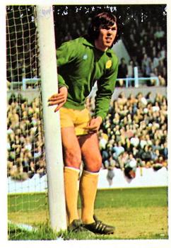 1974-75 FKS Wonderful World of Soccer Stars #138 David Harvey Front